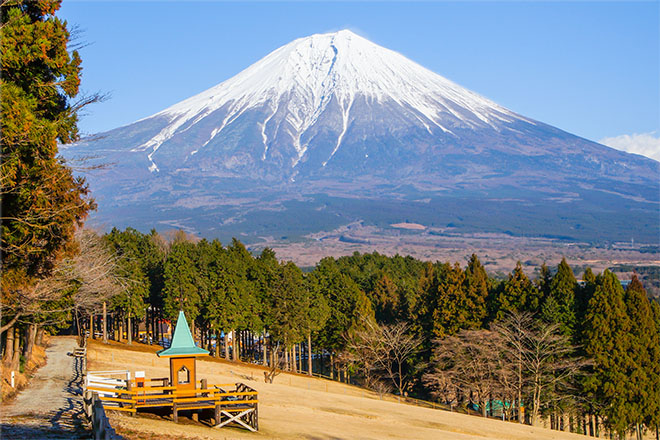 富士山を背景に五感に響く旅