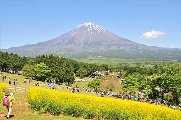 まかいの牧場