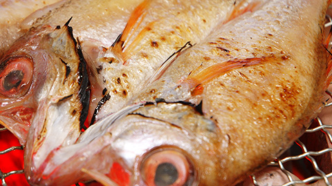 干すと魚の旨味が濃い!