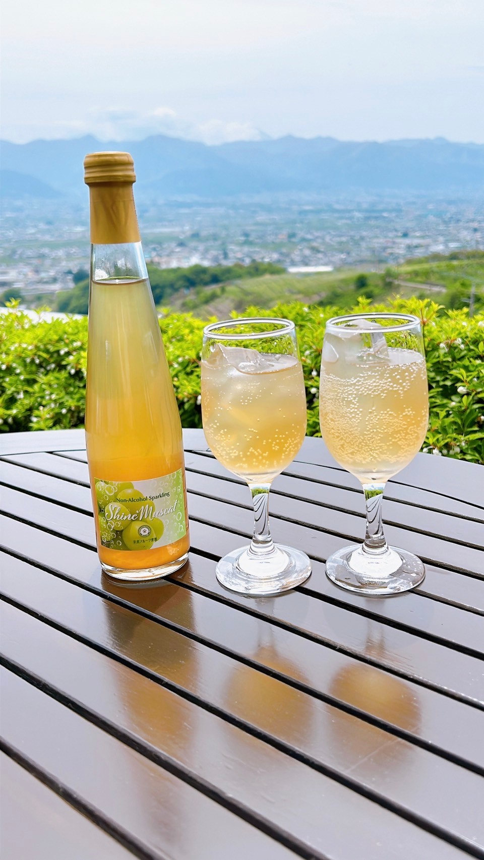数量限定！シャインマスカットノンアルスパークリング2本セット【300ml】
